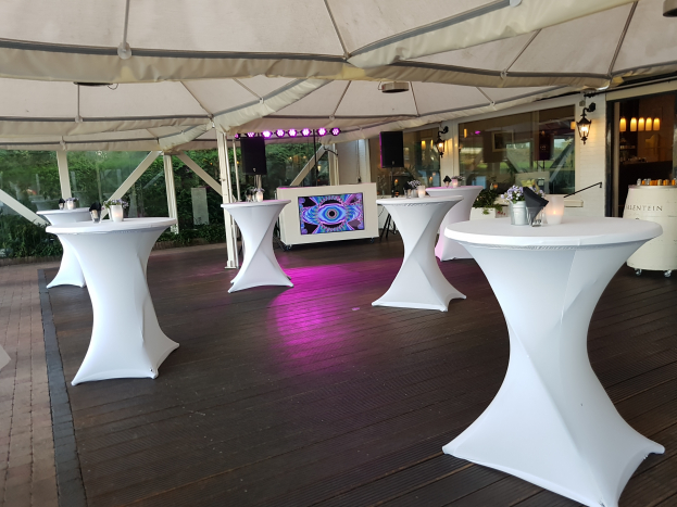 Barbecue en Tuinfeest DJ